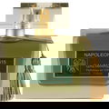 Napoléon 1815