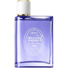 Brazilian Perfume Vanilla Orchid Sandalwood 509# von Sttes