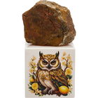 Lisesagesse / ليزساجيس by Shamal Luxury