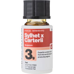 Sylhet x Carterii von Jinx