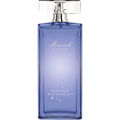 Morriselle Potion d'Etoiles by Morris
