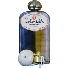 Colonielle - Gardenia von Martha Washington