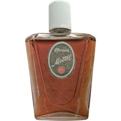 Modell von Decenta
