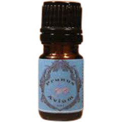 No̱17 - Enigma by Arcadia