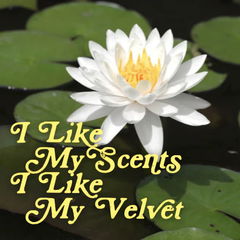 I Like My Scents I Like My Velvet von Pulp Fragrance