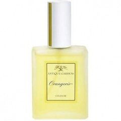 Antique Garden - Orangerie by California Fleurish