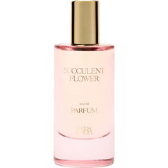 Succulent Flower by Zara