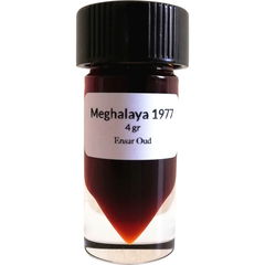 Meghalaya 1977 by Ensar Oud / Oriscent