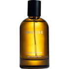 Ginger & Vetiver von Eme Ese