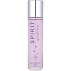 Spirit of Violet Kiss von Spirit