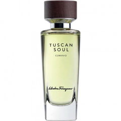 Convivio (Eau de Toilette) von Salvatore Ferragamo