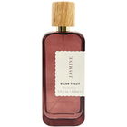 Jasmine by Ellen Tracy