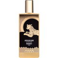 African Rose by Memo Paris