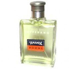 Zafferano by L'Amande