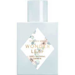 Wonder Leaf by Nature Blossom / Juniper Lane