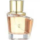 The Club for Women by Giovanni Bacci