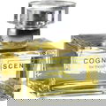 Scent 17 von Cognoscenti