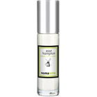 East Hampton Atlantic White Cedar (Perfume Oil) von Nomaterra
