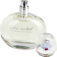 White Orchid von Bachs