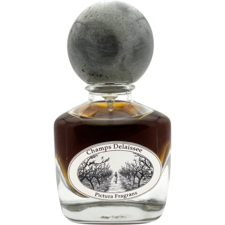 Champs Délaissée by Pictura Fragrans