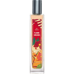 Day Dreams - Flame Orchid by Brocard