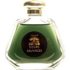 Fleurs Sauvages (2021) von Teone Reinthal Natural Perfume