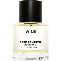 Bare Sentient - Nocturnal by Wile