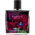 Black Tulip