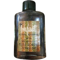 Impact by Merle Norman