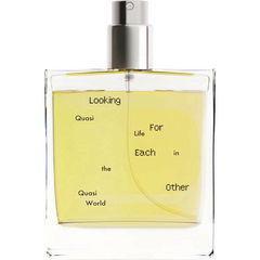 Quasi Life in the Quasi World von Looking For Each Other