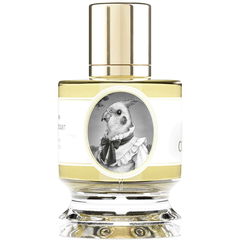 Cockatiel by Zoologist