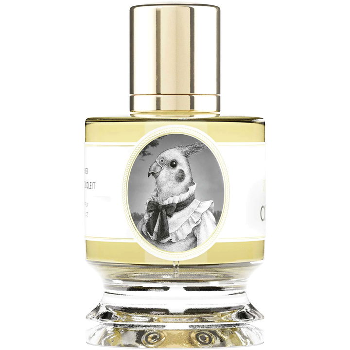 Cockatiel by Zoologist