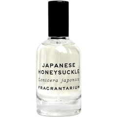 Japanese Honeysuckle von Fragrantarium