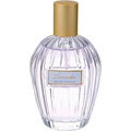 Floral Collection - Lavender / Lavandula Angustifolia by Marks & Spencer