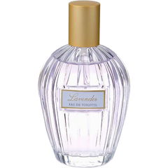 Floral Collection - Lavender / Lavandula Angustifolia by Marks & Spencer