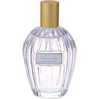 Floral Collection - Lavender / Lavandula Angustifolia by Marks & Spencer