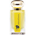 Ambra di Venezia (Perfume) by Montgomery Taylor