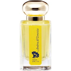 Ambra di Venezia (Perfume) by Montgomery Taylor