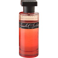 Floral Curiosities - Scarlet Larkspur von Ineke