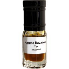 Rugosa Ravagosa von Ensar Oud / Oriscent