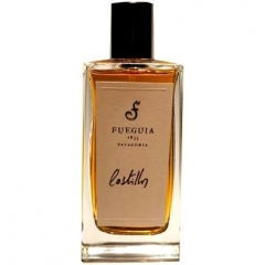 Castillos by Fueguia 1833