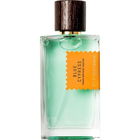 Blue Cypress by Goldfield & Banks