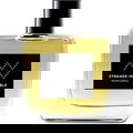 Aquarius by Strange Invisible Perfumes