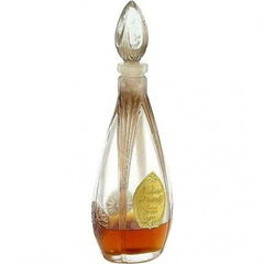 Ambre d'Orient von Nice-Flore