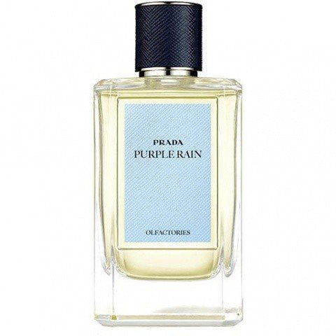 Purple Rain von Prada