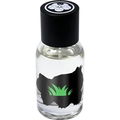 Ulun by Bloom Perfumery