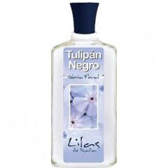 Lilas de Italia by Tulipán Negro