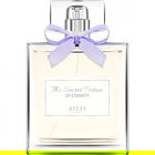 The Secret Potion of Eternity by Wycon