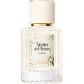Cedrus Limited Edition by Chloé