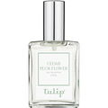 Cedar Plum Flower von Tulip